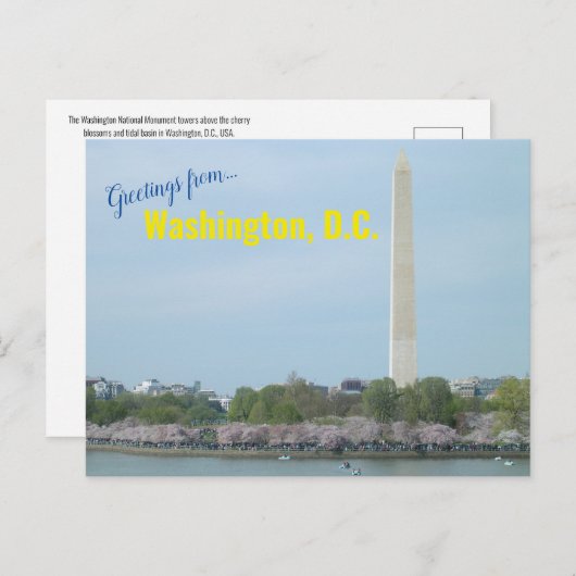 Postcard - Washington Monument and Cherry Blossoms Postkarte (Vorne/Hinten)