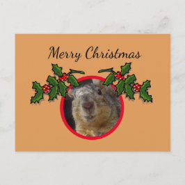 Postcard - Weihnachtsgrüße Eichhörnchen Postkarte