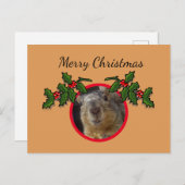 Postcard - Weihnachtsgrüße Eichhörnchen Postkarte (Vorne/Hinten)