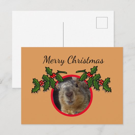 Postcard - Weihnachtsgrüße Eichhörnchen Postkarte (Vorne/Hinten)