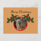 Postcard - Weihnachtsgrüße Eichhörnchen Postkarte (Vorderseite)