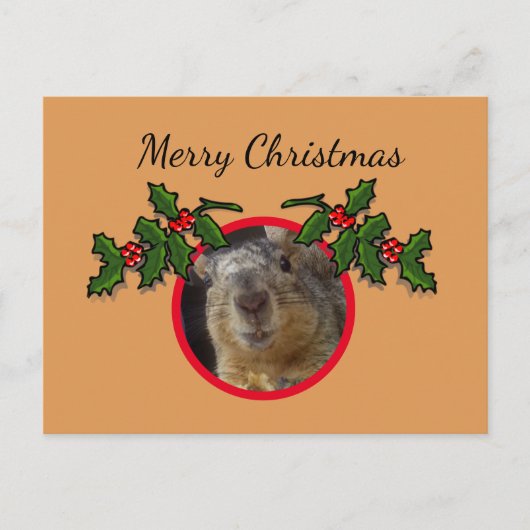 Postcard - Weihnachtsgrüße Eichhörnchen Postkarte (Vorderseite)