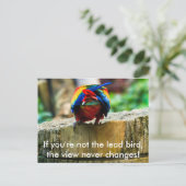 Postcard, wenn du nicht der Lead-Vogel bist, Postkarte (Stehend Vorderseite)