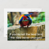 Postcard, wenn du nicht der Lead-Vogel bist, Postkarte (Vorne/Hinten)