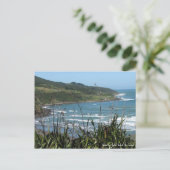 Postcard, Whale Bay, Raglan, Neuseeland Postkarte (Stehend Vorderseite)