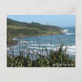 Postcard, Whale Bay, Raglan, Neuseeland Postkarte