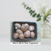 Postcard - Wir alle sind in diesem Spiel zusammen Postkarte (Stehend Vorderseite)