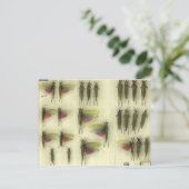 Postcard with Grasshoppers Postkarte (Stehend Vorderseite)