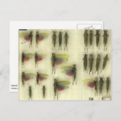 Postcard with Grasshoppers Postkarte (Vorne/Hinten)