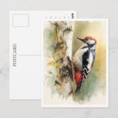 Postcard. Woodpecker Postkarte (Vorne/Hinten)