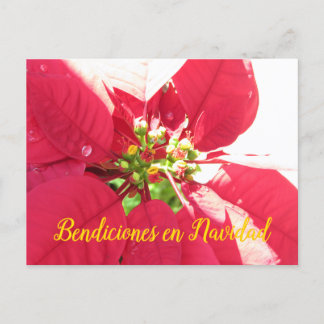 Postcard Xmas 003 - Spanisch - Postkarte