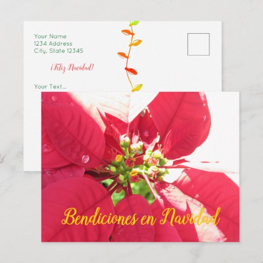 Postcard Xmas 003 - Spanisch - Postkarte (Vorne/Hinten)