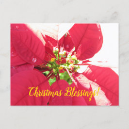 Postcard Xmas 004 - Postkarte