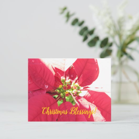 Postcard Xmas 004 - Postkarte (Stehend Vorderseite)