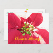 Postcard Xmas 004 - Postkarte (Vorne/Hinten)