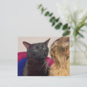 Postcard Zoned Out Cam Meme Postkarte (Stehend Vorderseite)