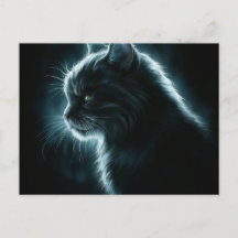 Postcards Cat 12