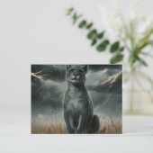 Postcards Diverse 1 Postkarte (Stehend Vorderseite)
