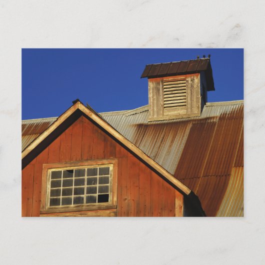 POSTCARDS NORTH HERO VERMONT POSTKARTE (Vorderseite)