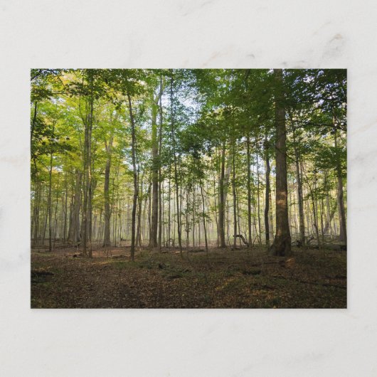 Postcards of Nature Images Postkarte (Vorderseite)