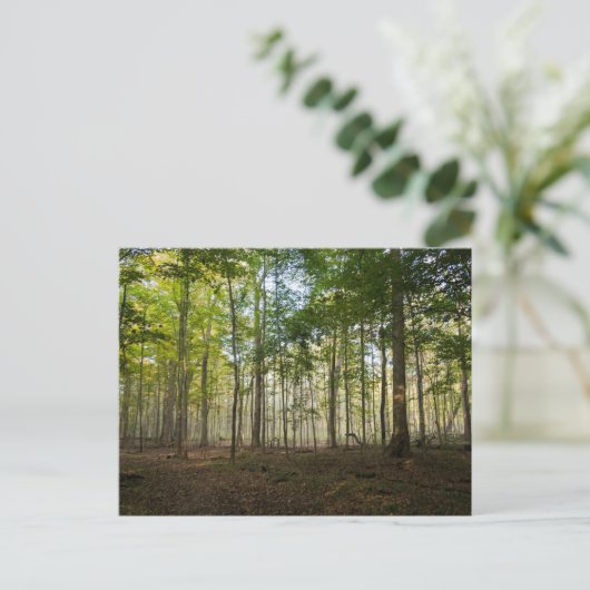 Postcards of Nature Images Postkarte (Stehend Vorderseite)