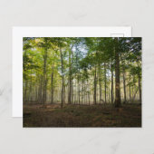 Postcards of Nature Images Postkarte (Vorne/Hinten)