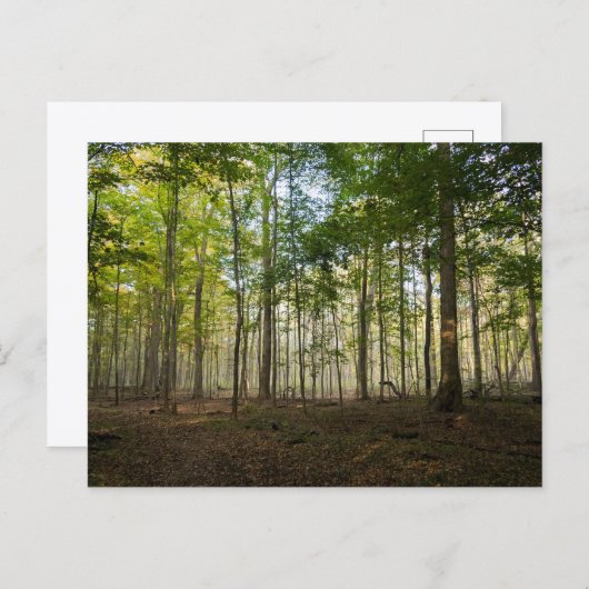 Postcards of Nature Images Postkarte (Vorne/Hinten)