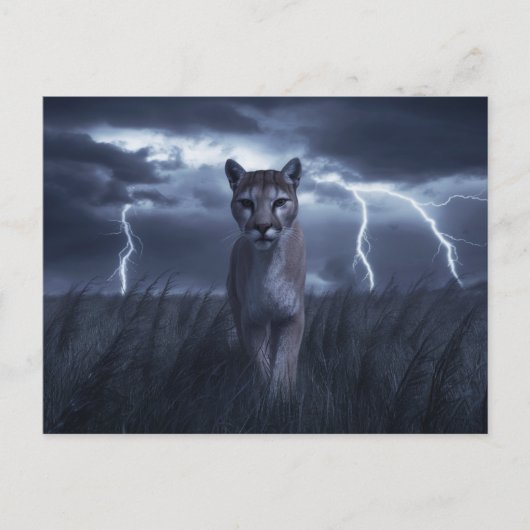 Postcards Sonstiges 1 05 Postkarte (Vorderseite)