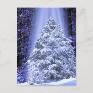 POSTCARDS-SPEZIALBAUM FEIERTAGSPOSTKARTE