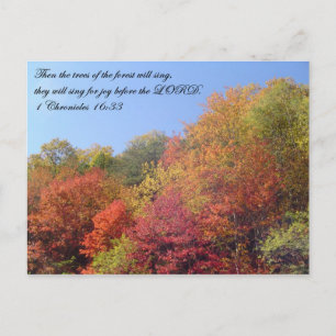 Postcards: Trees Sing Postkarte