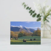 POSTCARDS VERMONT MT. MANSIFIELD POSTKARTE (Stehend Vorderseite)