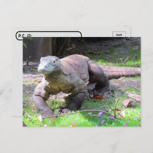 Postcross - Komodo Dragon sieht süß aus Postkarte