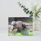 Postcross - Komodo Dragon sieht süß aus Postkarte (Stehend Vorderseite)