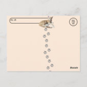 Postcross - Taz The Adorable Ginger Tabby - Katze Postkarte (Rückseite)