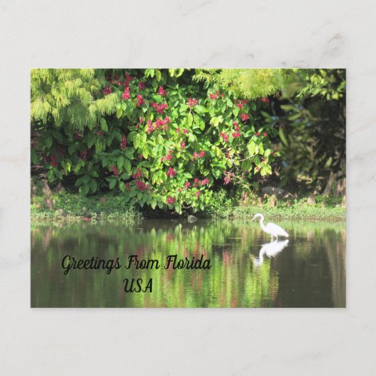 Postcrossing - Greetings from - Egret Landscape Feiertagspostkarte (Vorderseite)