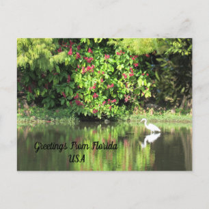 Postcrossing - Grüße aus - Egret Landschaft Feiertagspostkarte