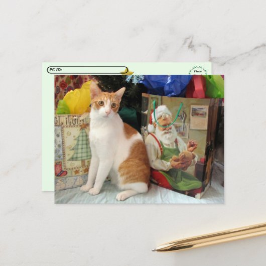 Postcrossing - Kagan die Katze - Weihnachten  (Vorderseite/Rückseite Beispiel)