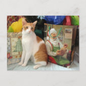 Postcrossing - Kagan the Cat - Christmas Feiertagspostkarte (Vorderseite)