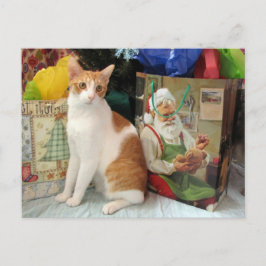 Postcrossing - Kagan the Cat - Christmas  Feiertagspostkarte