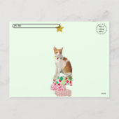 Postcrossing - Kagan the Cat - Christmas Feiertagspostkarte (Rückseite)
