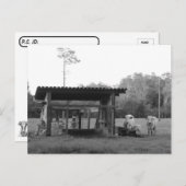 Postcrossing On the Ranch - Cows - Black and White Postkarte (Vorne/Hinten)