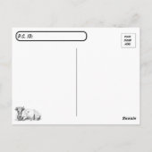 Postcrossing On the Ranch - Cows - Black and White Postkarte (Rückseite)