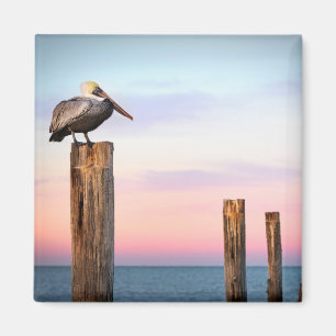 Posten u. ein Strand des Pelikan- Fort Myers, Magnet
