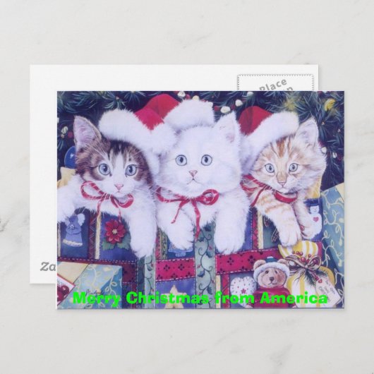 Posten-Weihnachtskatzen Feiertagspostkarte (Vorne/Hinten)