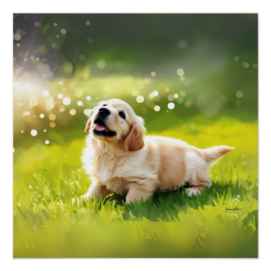 POSTER (Vorderseite)