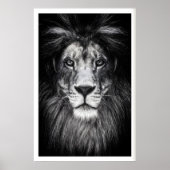 Poster (Vorne)