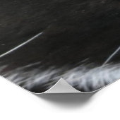 Poster (Ecke)