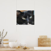 Poster (Küche)