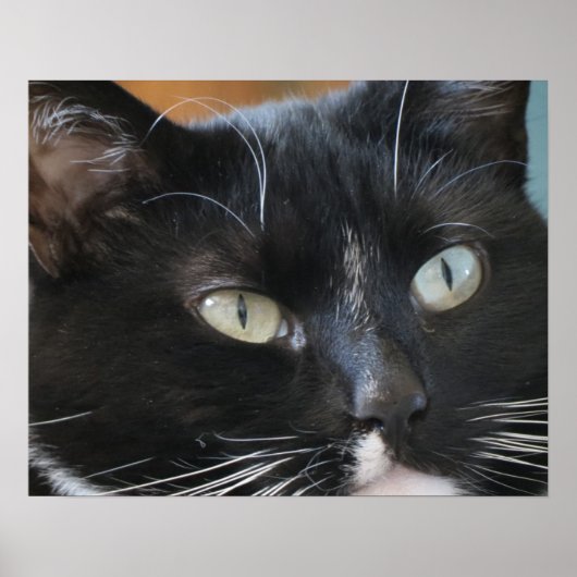 Poster (Vorne)