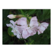 Poster (Vorderseite)